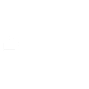 logo-noem